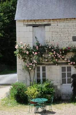 Jardin de l'établissement Les Berthiers - région des châteaux et des vignes