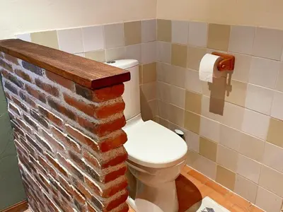 Salle de bains dans l'établissement Gîte chaleureux avec sauna, près des châteaux de la Loire - FR-1-491-456
