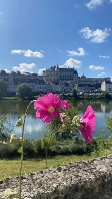 Paysage naturel près de la maison de vacances