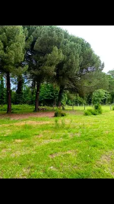Paysage naturel près de la maison de vacances