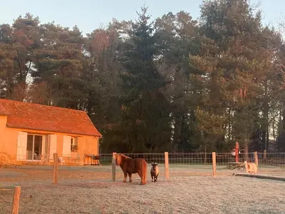 Animaux dans la maison de vacances ou à proximité