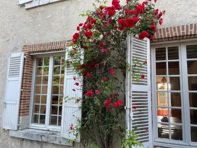 Jardin de l'établissement Gîte de Mont-Près-Chambord au cœur des Châteaux de la Loire 