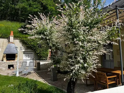 Jardin de l'établissement Altanka, Maison, calme au milieu de la nature près de Beauval, Chenonceau et autres chateaux de la Loire