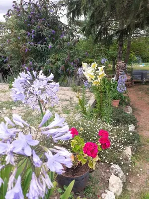 Jardin de l'établissement La chambre aux papillons