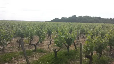 Paysage naturel près de l'appartement