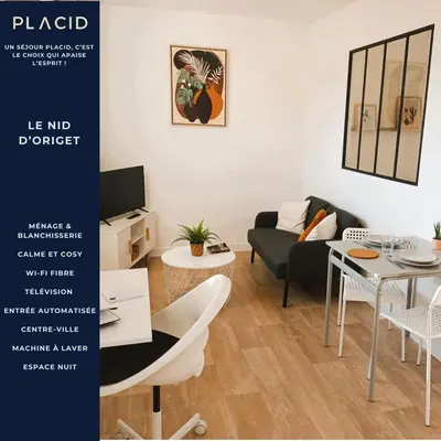 Plan de l'établissement Le nid d'Origet centre-ville wifi cosy