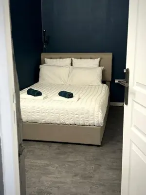 Un ou plusieurs lits dans un hébergement de l'établissement Le Petit Rive Gauche - Blois