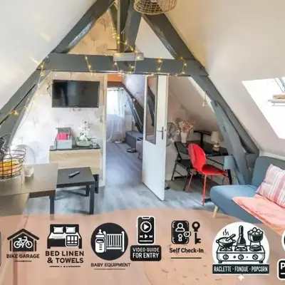 Le Cocon Appartement chaleureux hypercentre Blois