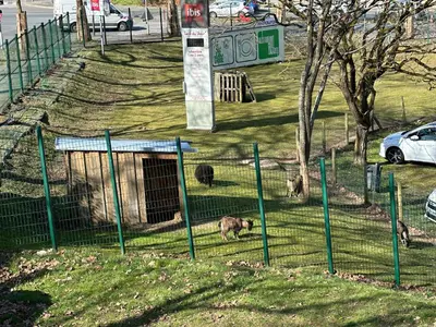 Plan de l'établissement L Archipel Le Mans Est Pontlieue