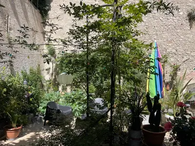 Jardin de l'établissement Chambre Veteranova