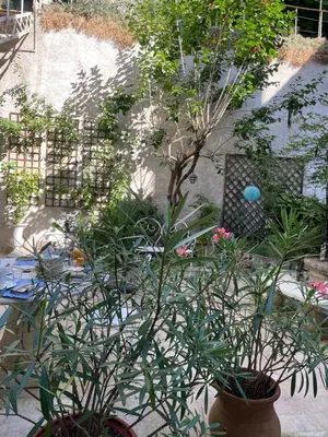 Jardin de l'établissement Chambre Veteranova