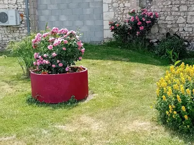 Jardin de l'établissement Charmante Maison en Pierre avec Jardin Près de Chinon - FR-1-381-608