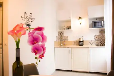 Cuisine ou kitchenette dans l'établissement Studio Rose