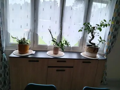 Plan de l'établissement Maison proche circuit 24H