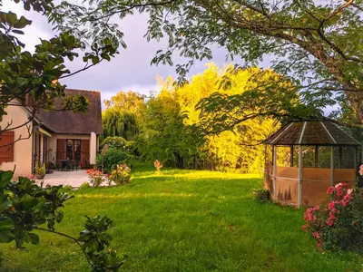 Jardin de l'établissement Gîte Le Grand Albizia