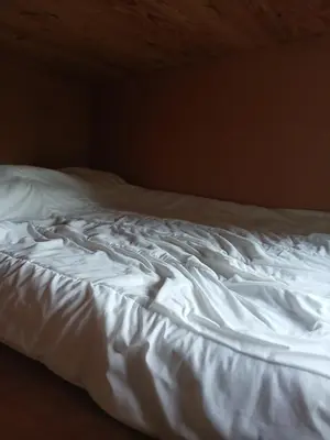Un ou plusieurs lits dans un hébergement de l'établissement tiny house