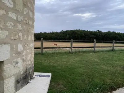 Jardin de l'établissement Unique outbuildings of a medieval Loire castle