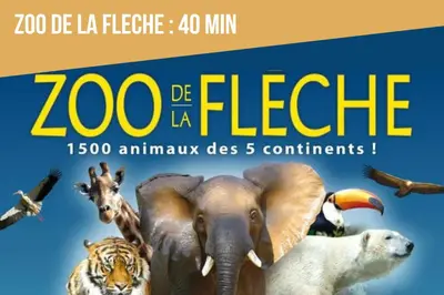 Animaux dans l'appartement ou à proximité