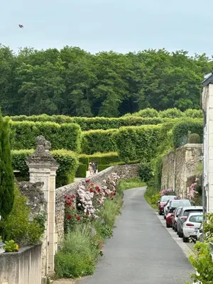 Jardin de l'établissement Maison de ville pour groupe, très proche du château de Villandry