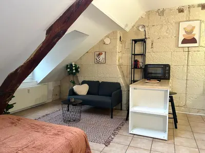 Télévision ou salle de divertissement dans l'établissement Terracotta - Quai de la Loire - Cozy