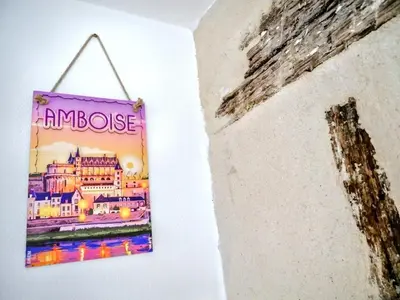 Plan de l'établissement Nid douillet tout équipé, 6 min château d'Amboise