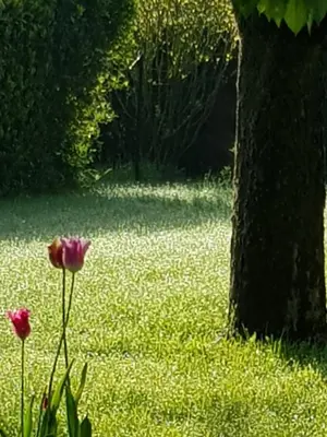 Jardin de l'établissement hébergements proche pole européen du cheval et du circuit des 24h