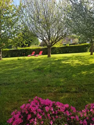 Jardin de l'établissement hébergements proche pole européen du cheval et du circuit des 24h