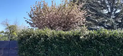 Jardin de l'établissement La belle échappée