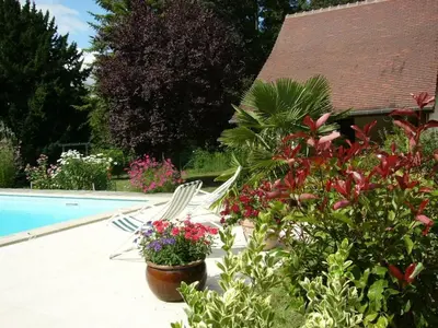 Piscine de l'établissement Maison de charme avec piscine partagée à Contres - FR-1-491-465 ou située à proximité