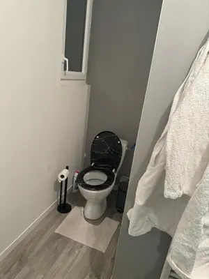Salle de bains dans l'établissement Beautiful appartement near 24h du Mans !!!