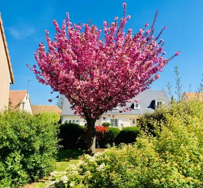 Jardin de l'établissement Chez Armelle