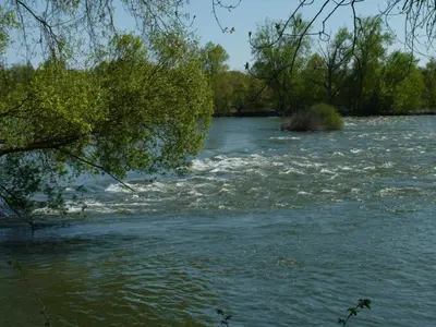 Vue sur la rivière ou le fleuve situé(e) à proximité de la maison de vacances
