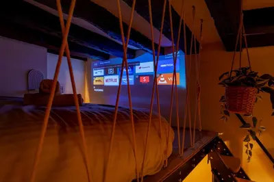 Télévision ou salle de divertissement dans l'établissement Cabane suspendue au cœur de Blois