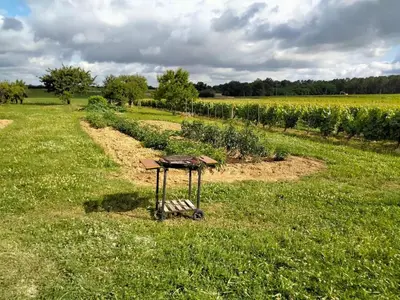 Jardin de l'établissement Maison dans les vignes - proche Chenonceau Beauval