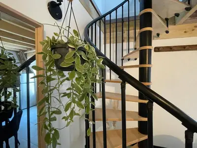 Plan de l'établissement Gite le Magnolia entre Loire et châteaux