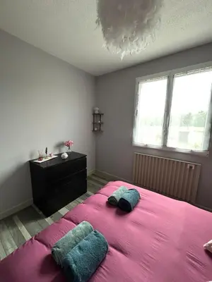 Un ou plusieurs lits dans un hébergement de l'établissement Pause tranquille entre châteaux, nature & Beauval