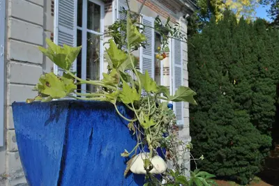 Jardin de l'établissement Eco-gîte - Domaine de La Gavolerie