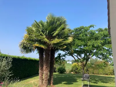 Jardin de l'établissement Brigitte Olivier