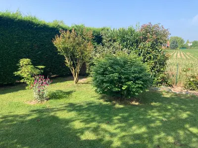 Jardin de l'établissement Brigitte Olivier