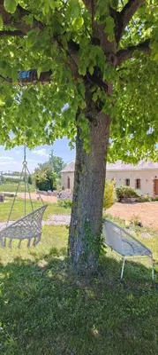 Jardin de l'établissement L'entre-deux-pommes