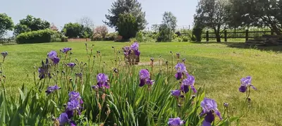 Jardin de l'établissement L'entre-deux-pommes