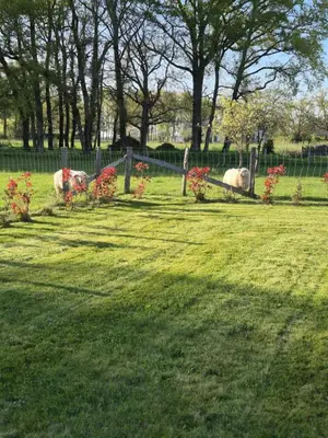 Jardin de l'établissement À la campagne