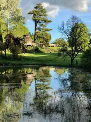 Paysage naturel près de the country house