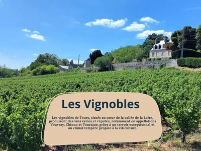 Plan de l'établissement L'Érudit - Maison avec jardin - 9 V - Parking