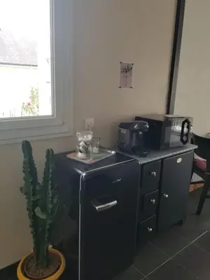 Cuisine ou kitchenette dans l'établissement Appartement lumineux avec jardin à Amboise