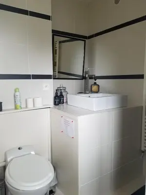 Salle de bains dans l'établissement Appartement lumineux avec jardin à Amboise