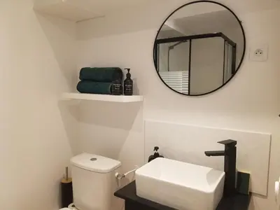 Salle de bains dans l'établissement appartement cosy avec jardin Amboise