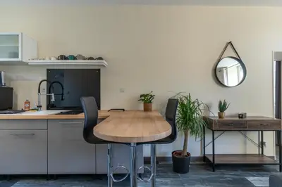 Cuisine ou kitchenette dans l'établissement Les Oberlins 2 Appartements, Cour, BBQ & Parking