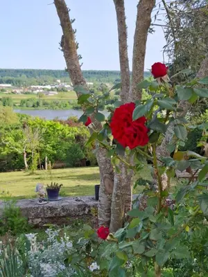 Paysage naturel près de la maison de vacances
