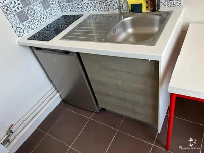 Cuisine ou kitchenette dans l'établissement Appartements Balcony de Loire